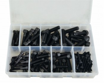 Assorted Cap Headed Socket Screws (100) 